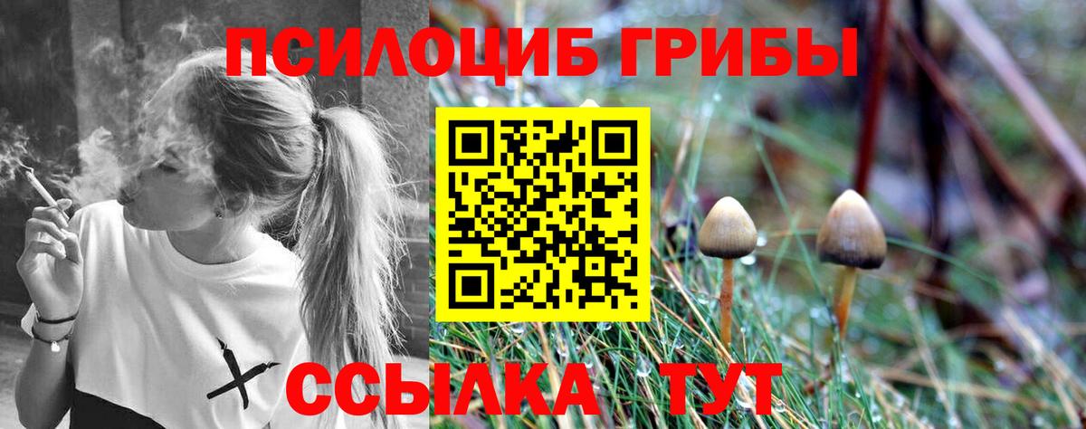 Галлюциногенные грибы Magic Shrooms  Вход с VPN  Россия 