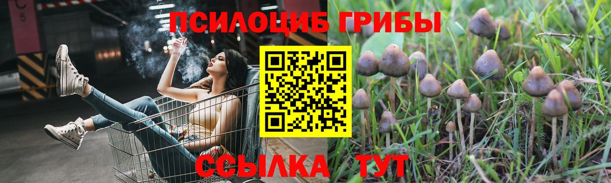 Галлюциногенные грибы Magic Shrooms Россия